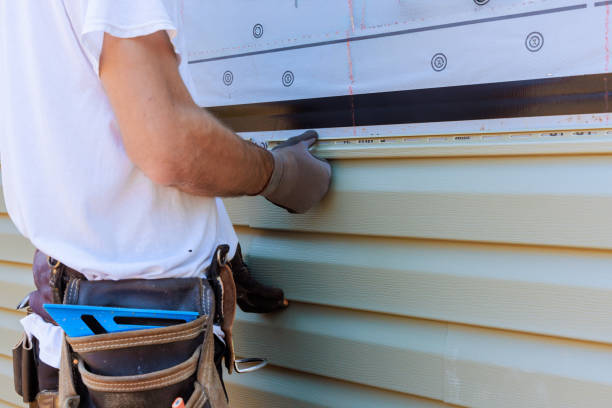 Best Steel Siding Installation  in Central High, OK